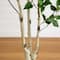 6ft. Potted Green Artificial Birch Tree with Real Touch Leaves